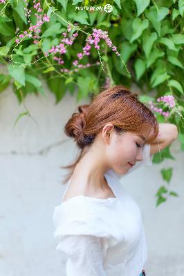 一枪战三母2-1免费观看央视网